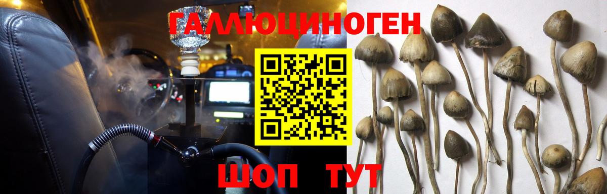 Надым  Галлюциногенные грибы MAGIC MUSHROOMS  Вход с VPN 